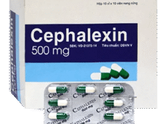Cephalexin