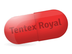 Tentex Royal